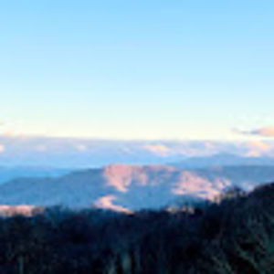 Meet your Posher, Anne